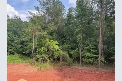 110 Liberty Freedom Lane, Maysville, GA 30558 - Photo 44