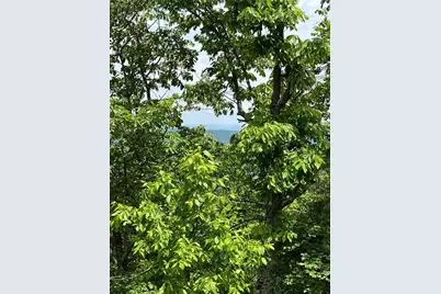 157 Hwy, Menlo, GA 30731 - Photo 4