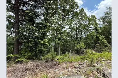 157 Hwy, Menlo, GA 30731 - Photo 1