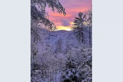 137 Ascherman Court, Blue Ridge, GA 30513 - Photo 36