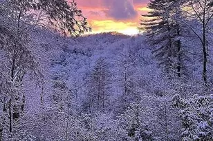 137 Ascherman Court, Blue Ridge, GA 30513 - Photo 36