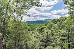 137 Ascherman Court, Blue Ridge, GA 30513 - Photo 28