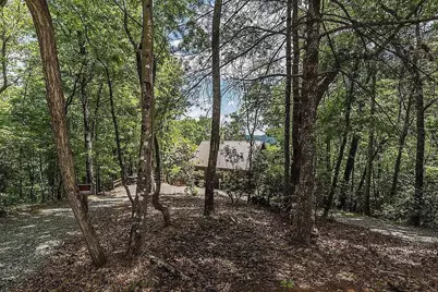 137 Ascherman Court, Blue Ridge, GA 30513 - Photo 34