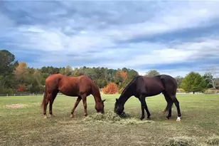 947 Bellhouse Rd, Macon, GA 31217 - Photo 106