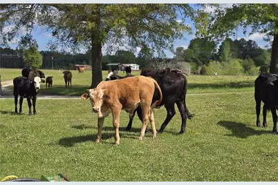 947 Bellhouse Road, Macon, GA 31217 - Photo 112