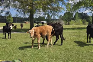 947 Bellhouse Rd, Macon, GA 31217 - Photo 112