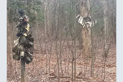 38 &51 Mountain Crest Road, Dawsonville, GA 30534 - Photo 1