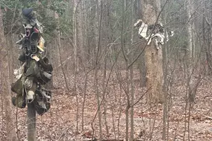 38 &51 Mountain Crest Rd, Dawsonville, GA 30534 - Photo 1