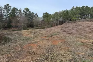 0 W Sandtown Rd SW, Marietta, GA 30064 - Photo 1