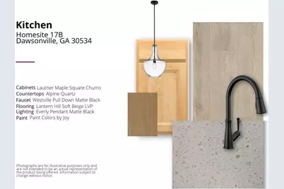 42 Gold Dust Drive #17-A, Dawsonville, GA 30534 - Photo 4