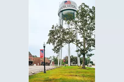 824 Winding Rose Drive, Hoschton, GA 30548 - Photo 152