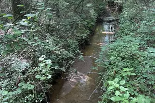 201 Jonquil Spring Rd, Woodstock, GA 30188 - Photo 70