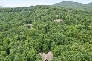 46 Bee Balm Wy, Big Canoe, GA 30143 - Photo 66