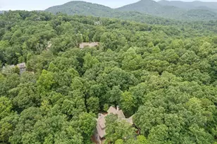 46 Bee Balm Wy, Big Canoe, GA 30143 - Photo 68