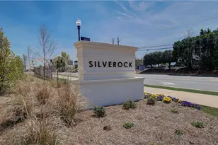 441 Breccia Run, McDonough, GA 30253 - Photo 46