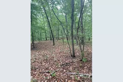 356 Orieole Court, Ranger, GA 30734 - Photo 10