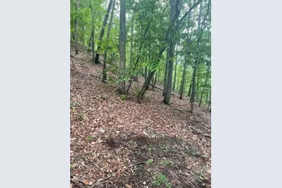 356 Orieole Court, Ranger, GA 30734 - Photo 6