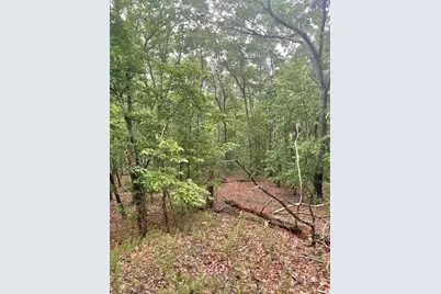 356 Orieole Court, Ranger, GA 30734 - Photo 2