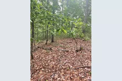 356 Orieole Court, Ranger, GA 30734 - Photo 12