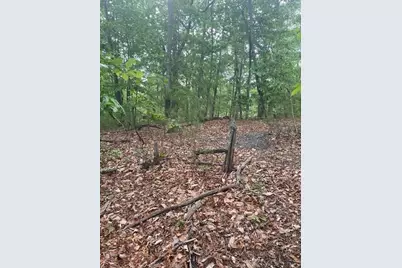 356 Orieole Court, Ranger, GA 30734 - Photo 4