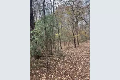 0 Old Bill Cook Road, Atlanta, GA 30349 - Photo 12