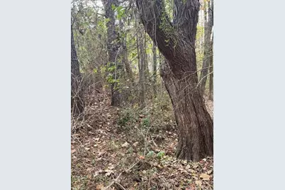 0 Old Bill Cook Road, Atlanta, GA 30349 - Photo 10