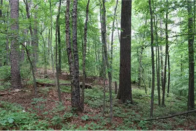 49 Lake Top Drive SE, Cartersville, GA 30121 - Photo 12