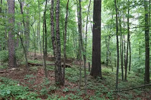 49 Lake Top Dr SE, Cartersville, GA 30121 - Photo 12