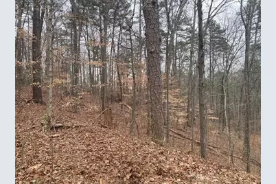 49 Lake Top Drive SE, Cartersville, GA 30121 - Photo 2