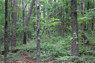 49 Lake Top Dr SE, Cartersville, GA 30121 - Photo 10