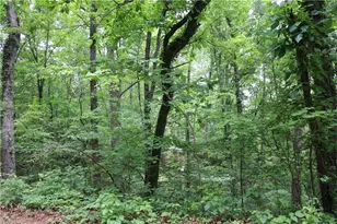 49 Lake Top Dr SE, Cartersville, GA 30121 - Photo 14