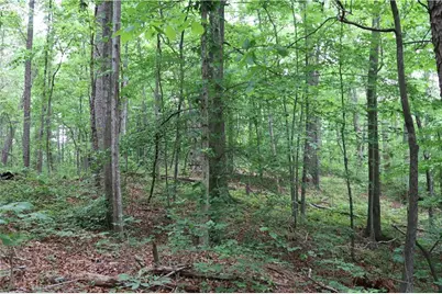 49 Lake Top Drive SE, Cartersville, GA 30121 - Photo 8