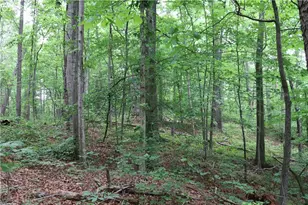 49 Lake Top Dr SE, Cartersville, GA 30121 - Photo 8