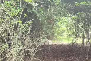 5357 Steeple Chase, Douglasville, GA 30135 - Photo 8