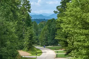 372 Abbington Way, Clarkesville, GA 30523 - Photo 52