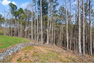 Lt 103 Blalock Mountain Road, Talking Rock, GA 30175 - Photo 18