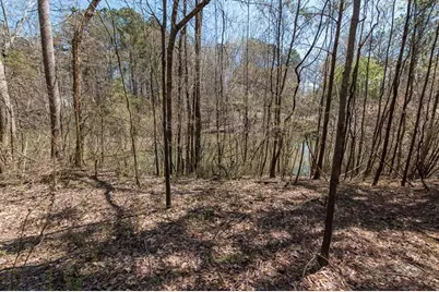 4882 Sugar Pike Road, Canton, GA 30115 - Photo 40
