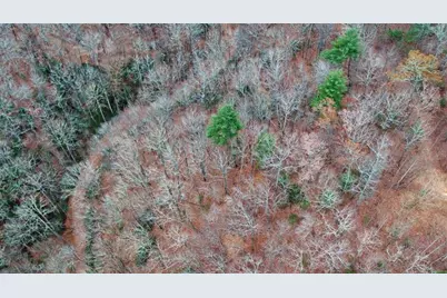 333 Favor Lane, Rabun Gap, GA 30568 - Photo 12