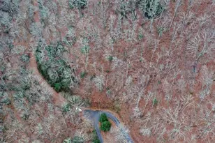 333 Favor Ln, Rabun Gap, GA 30568 - Photo 14