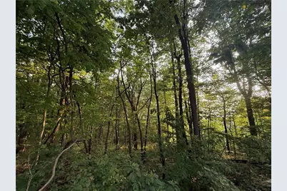 Lot 03 Upper Sassafras Parkway, Jasper, GA 30143 - Photo 6