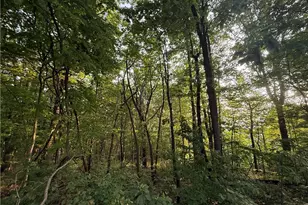 Lot 03 Upper Sassafras Pkwy, Jasper, GA 30143 - Photo 6