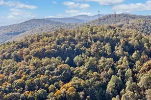 Lot 03 Upper Sassafras Pkwy, Jasper, GA 30143 - Photo 4