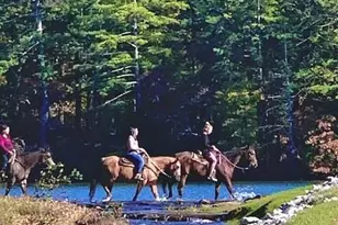 214 S View Trail, Jasper, GA 30143 - Photo 70