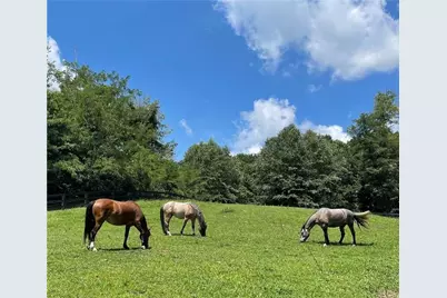 214 South View Trail, Jasper, GA 30143 - Photo 72