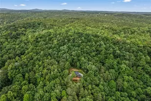 1725 Cherokee Gold Trail, Ball Ground, GA 30107 - Photo 50