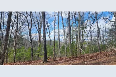 0 Meadowlands Drive, Talking Rock, GA 30175 - Photo 6