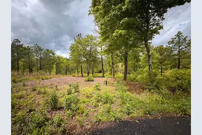 35 Arbor Creek, Mineral Bluff, GA 30559 - Photo 1