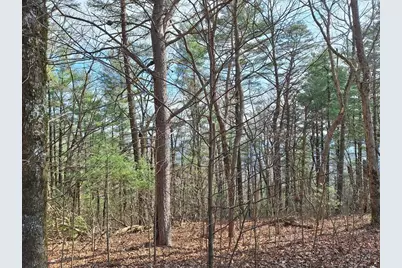 Lot2 Summit Pass, Chatsworth, GA 30705 - Photo 14