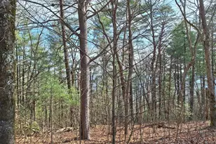 Lot2 Summit Pass, Chatsworth, GA 30705 - Photo 14