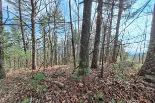 Lot2 Summit Pass, Chatsworth, GA 30705 - Photo 12